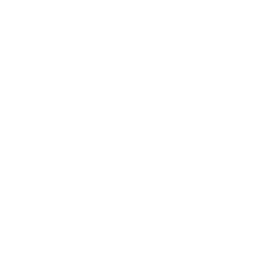 frumzi logo